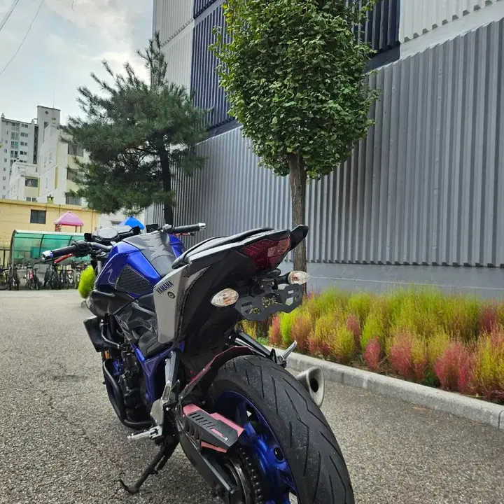 MT03 (2017) 3