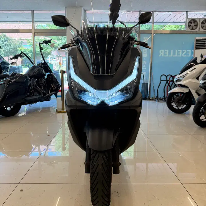 PCX 125 (2025) 2