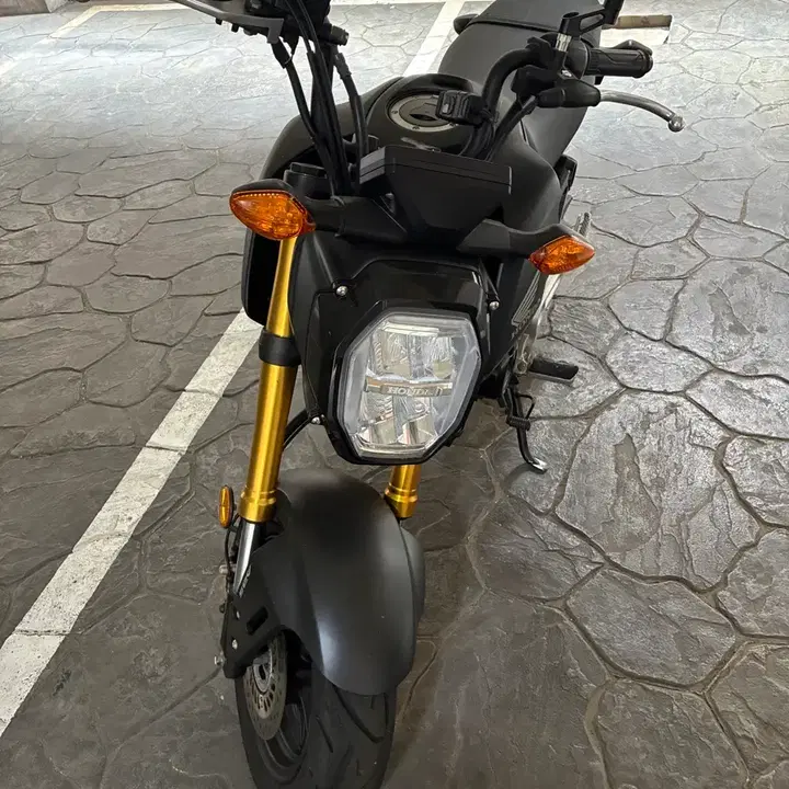 GROM125 (2021) 8