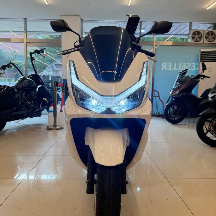 PCX 125 (2025) 2