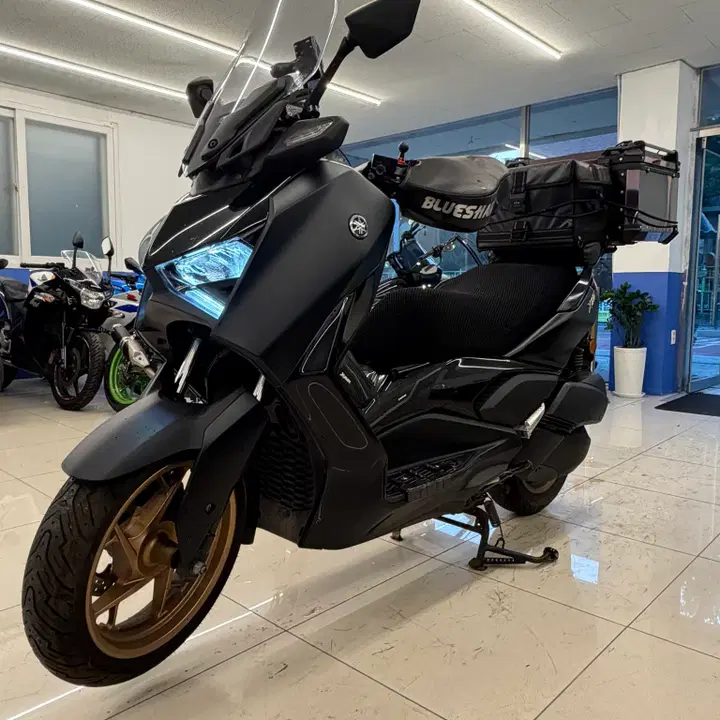 XMAX 300 (2024) 3