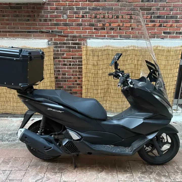 PCX 125 (2024) 3