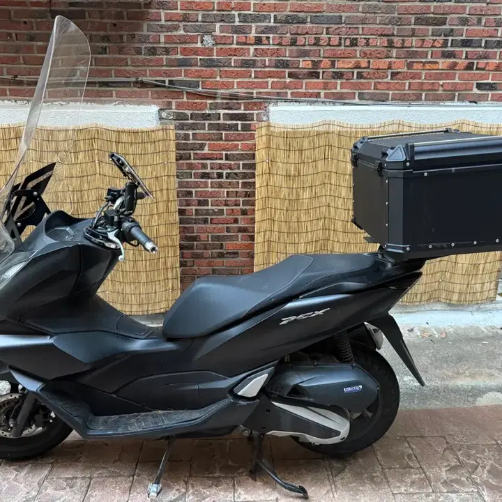 PCX 125 (2024) 4