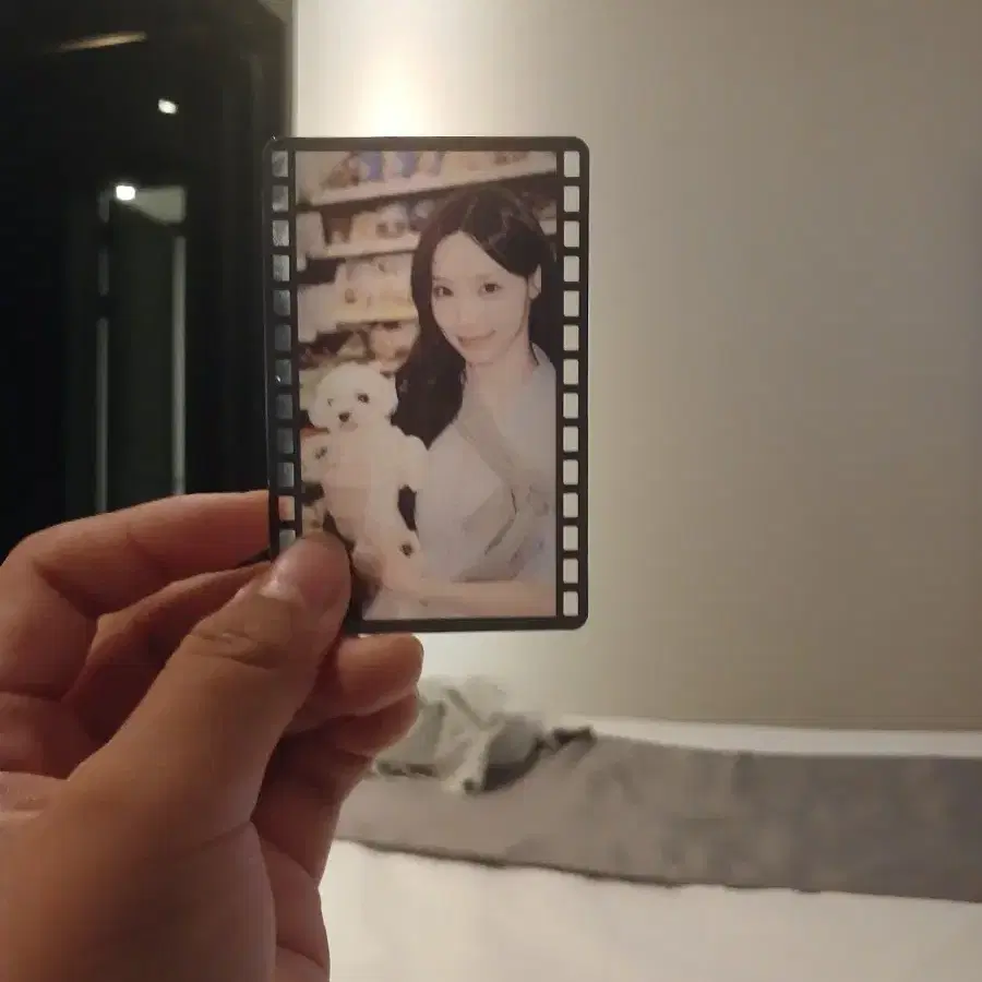 리센느 원이 별이 포카