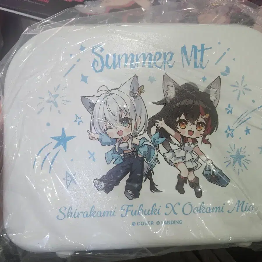 홀로라이브 후부키 레디백, 필름카메라
