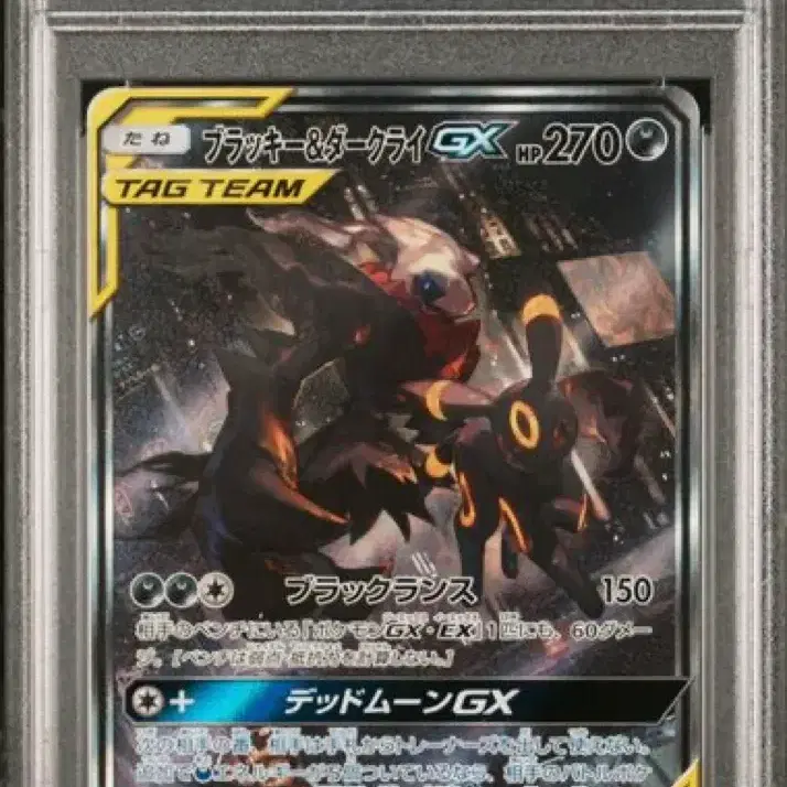 포켓몬카드 일판 블래키&다크라이 태그팀 182/173 PSA10