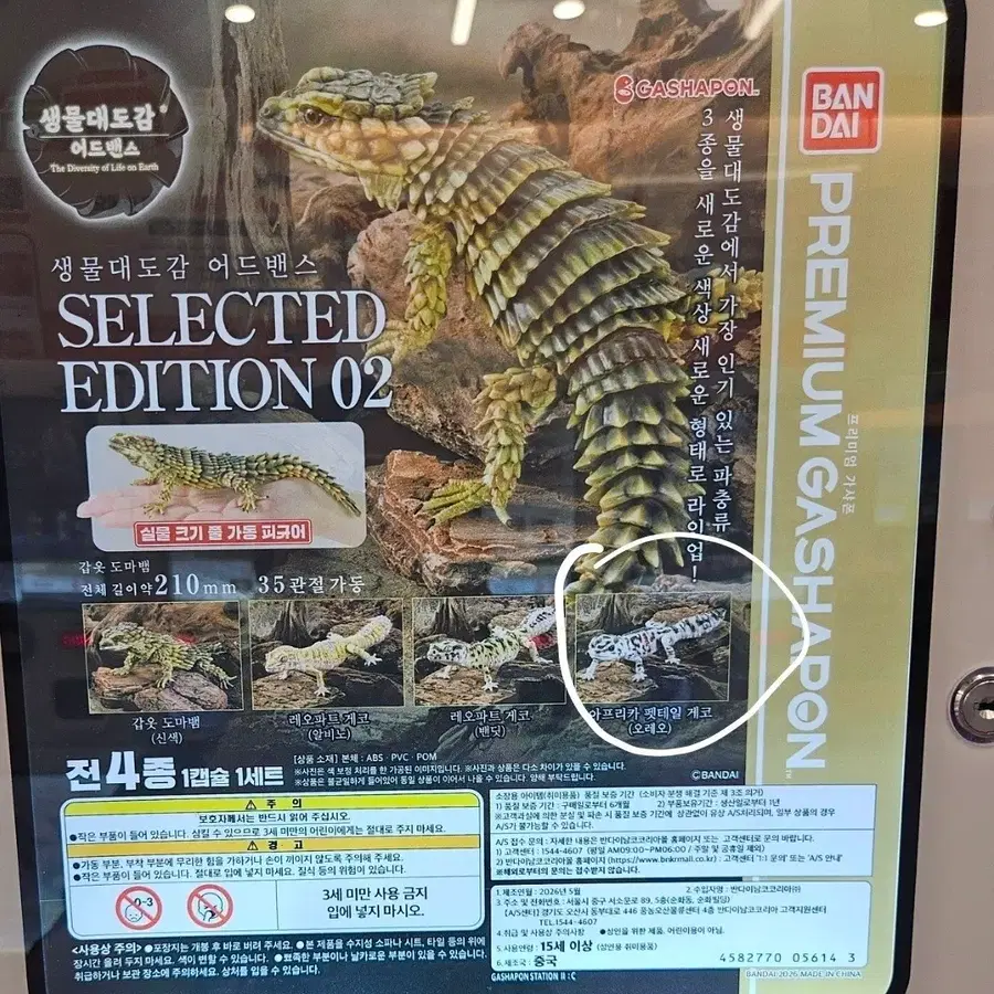 반다이 생물대도감 어드밴스 오레오 게코 도마뱀 가챠