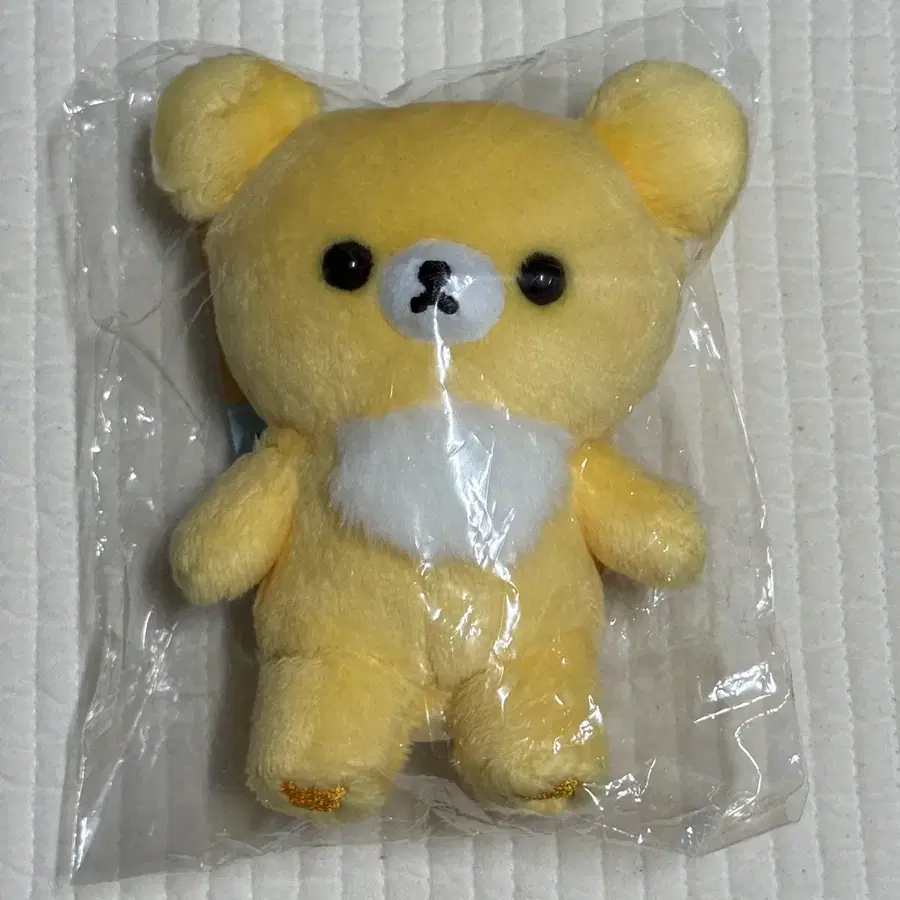 산엑스 코구마 10주년 5colors 인형 차이로이코구마 치즈코구마