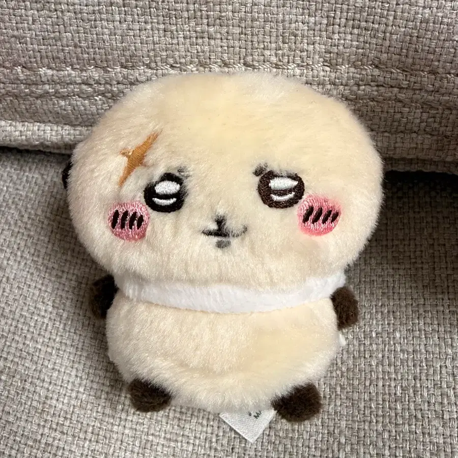 랏코 앉은누이