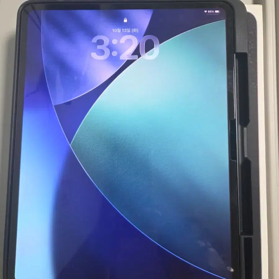 아이패드 프로 M4 13인치 셀룰러+와이파이 1TB