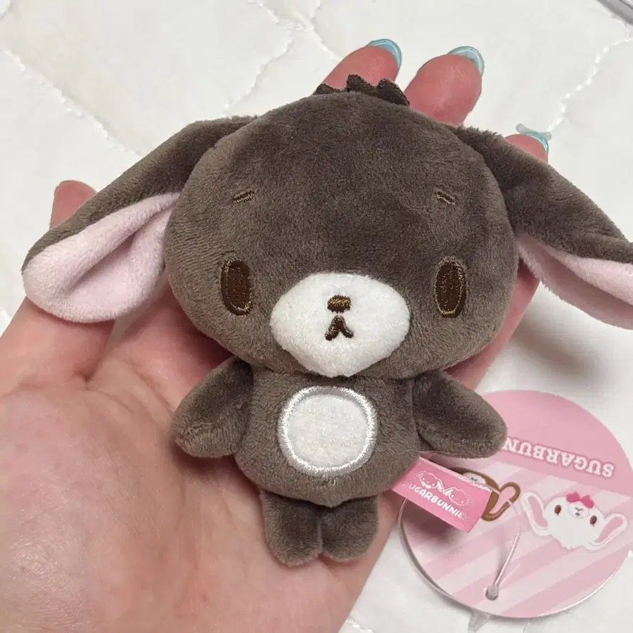 미로우사 (미녀쿠로우사) 팝니다 슈가바니즈