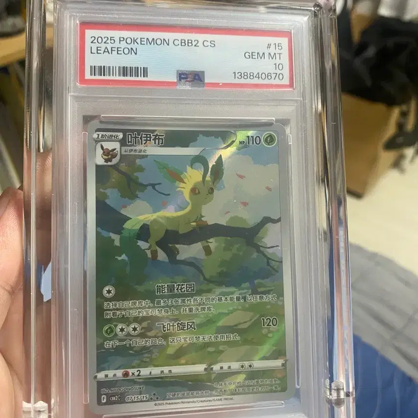 포켓몬카드 중판 한정일러 리피아 psa 10
