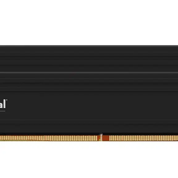 크루셜 DDR5 128GB (64GB x 2) 램
