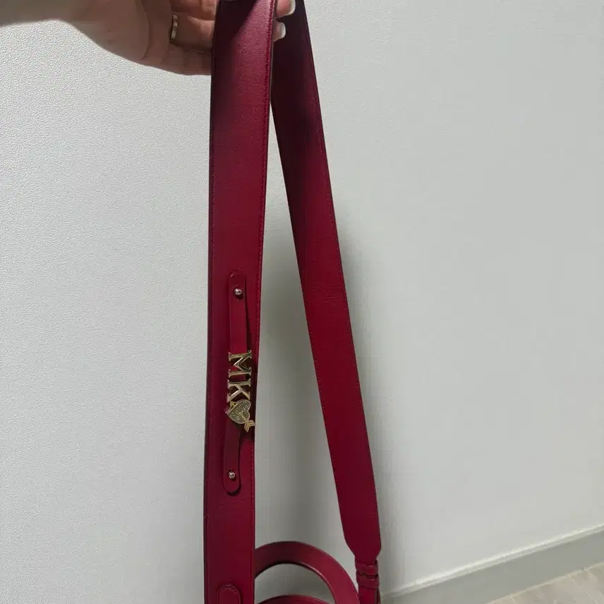 디올 레이디백 스몰 체리레드 사진 2
