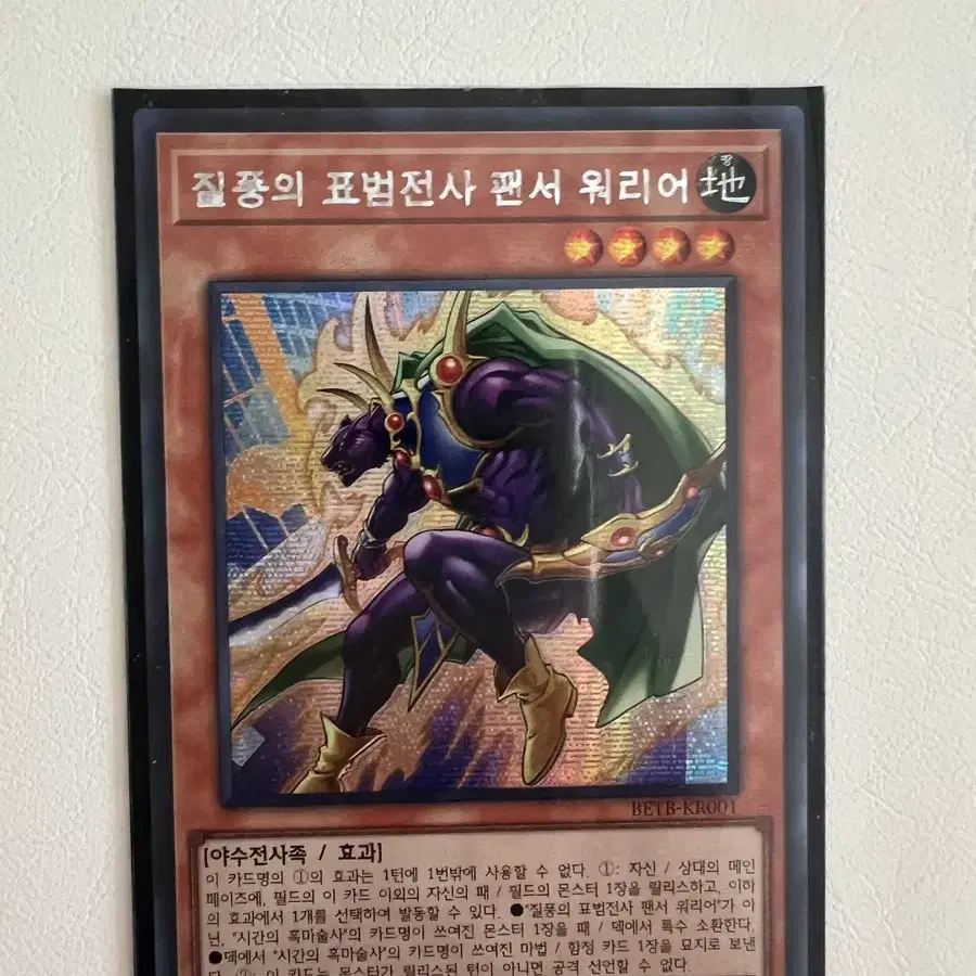 질풍의 표범전사 팬서 워리어 시크