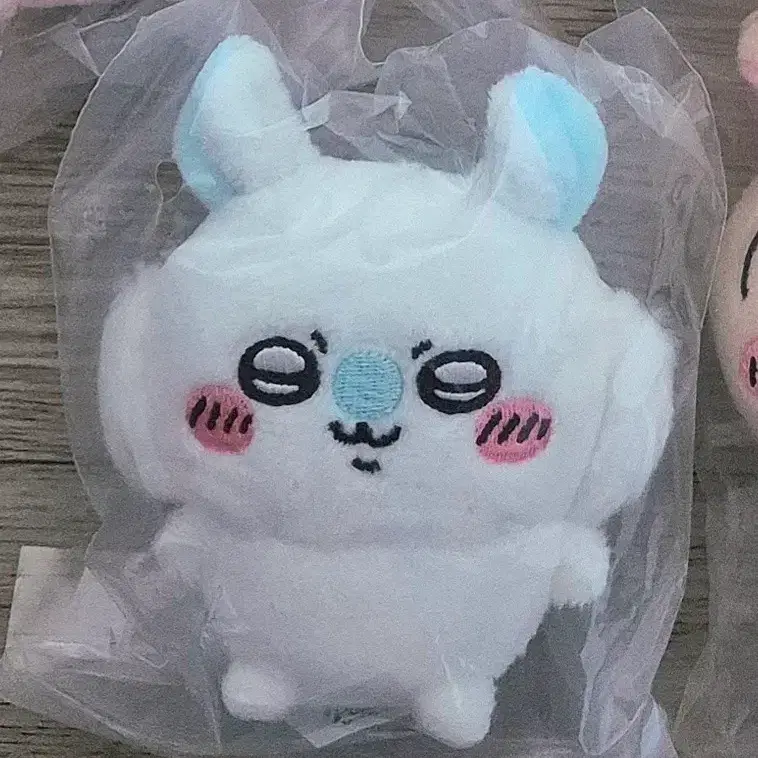 치이카와 앉은누이 모몽가