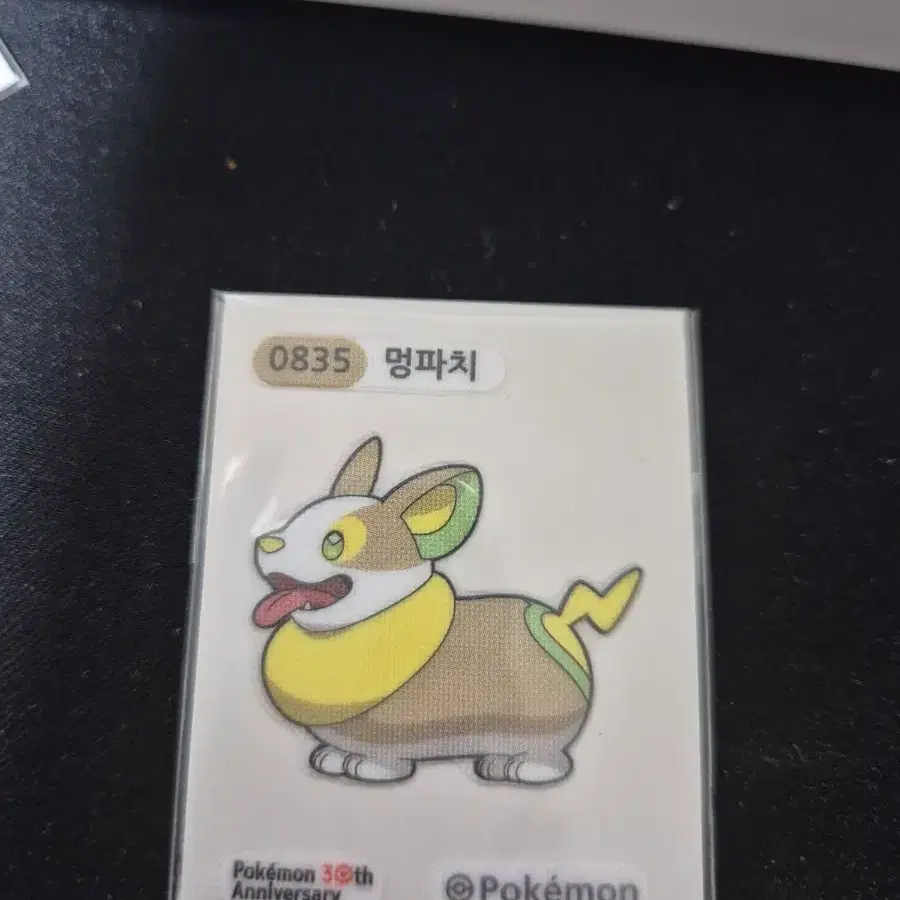 포켓몬띠부씰 시즌5 멍파치