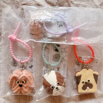 Maison terrier 컬러풀 멀티 참 4세트