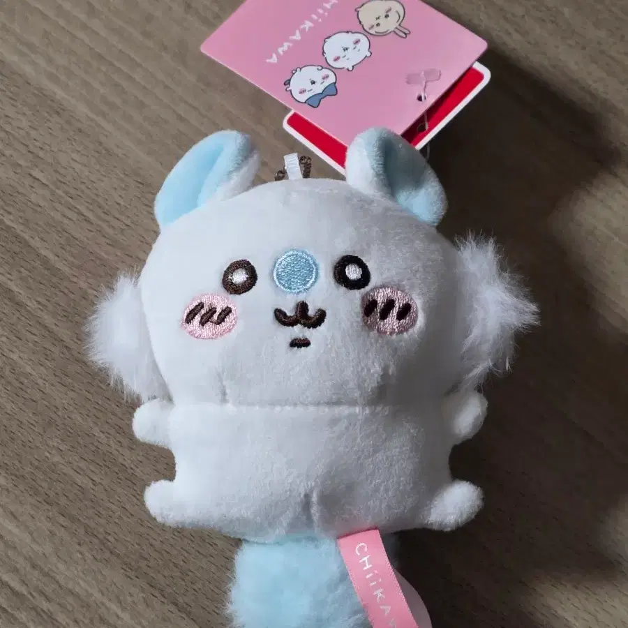 모몽카 콩눈 치이카와