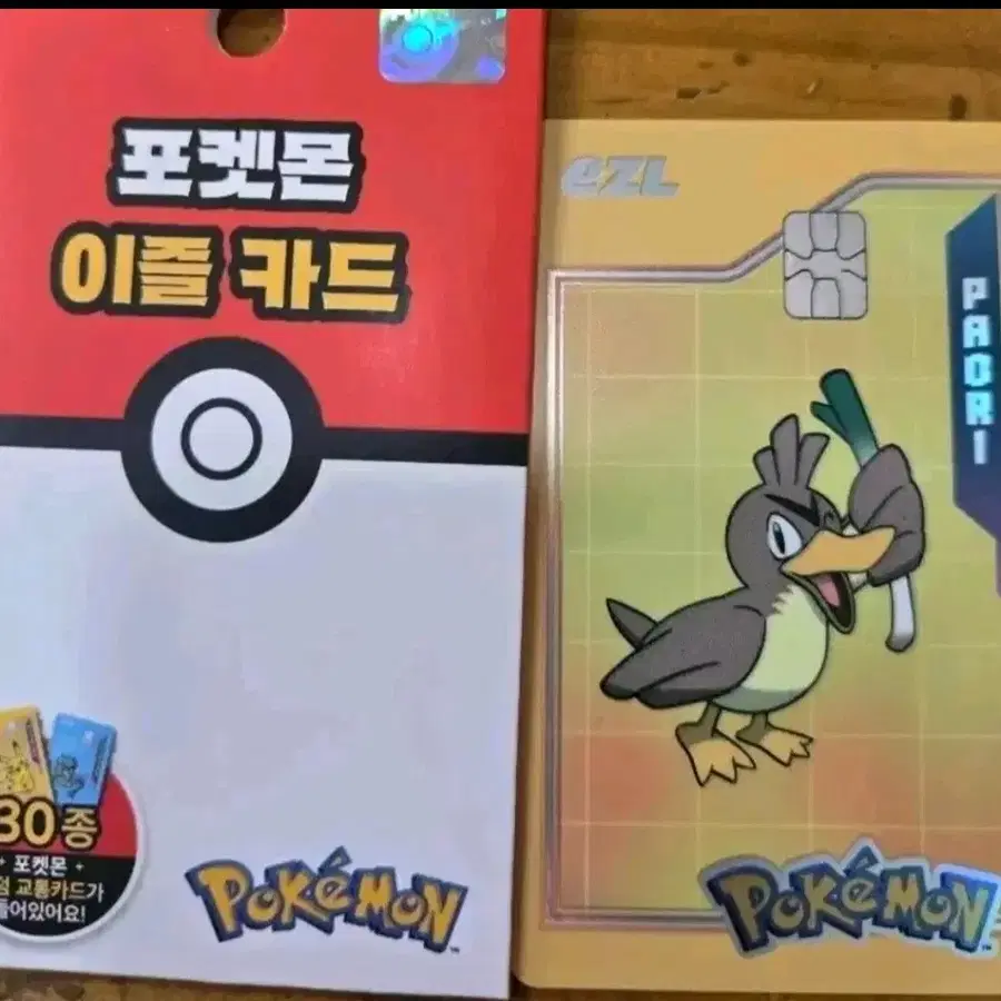 포켓몬 이즐 교통카드 파오리 카드 포켓몬스터