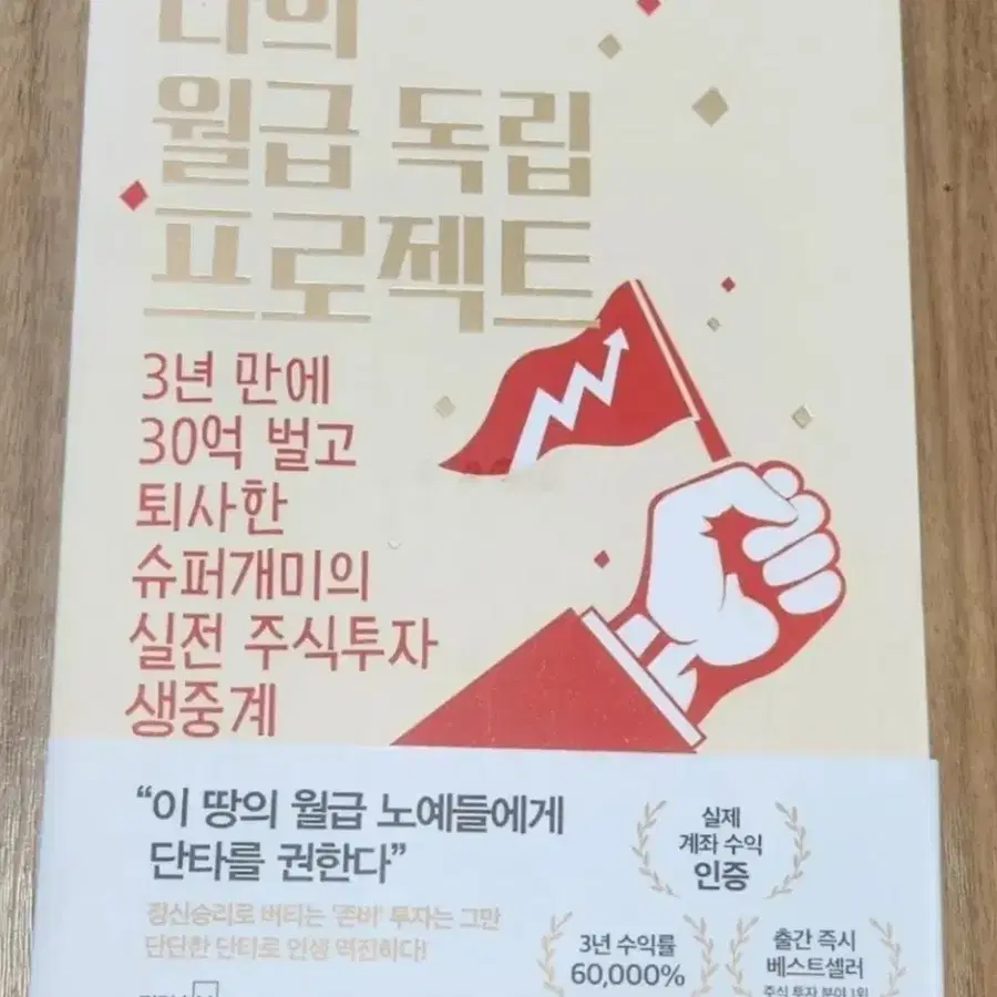 책 나의 월급 독립 프로젝트