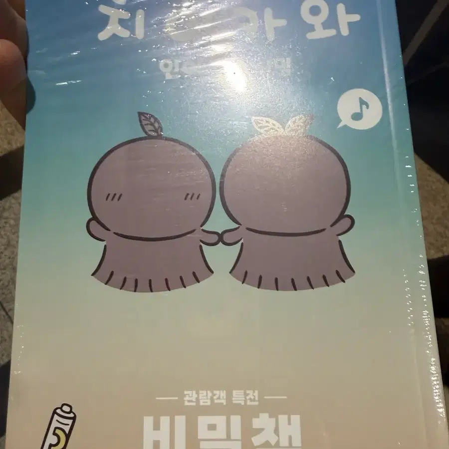 치이카와 비밀책
