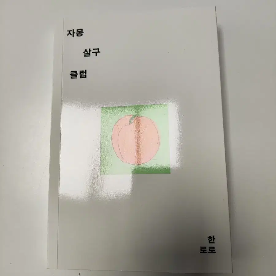 자몽 살구 클럽 - 한로로