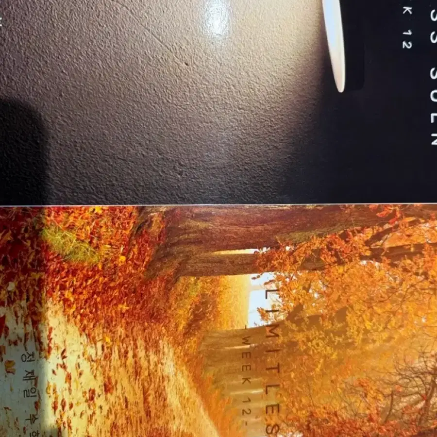 3 결제용