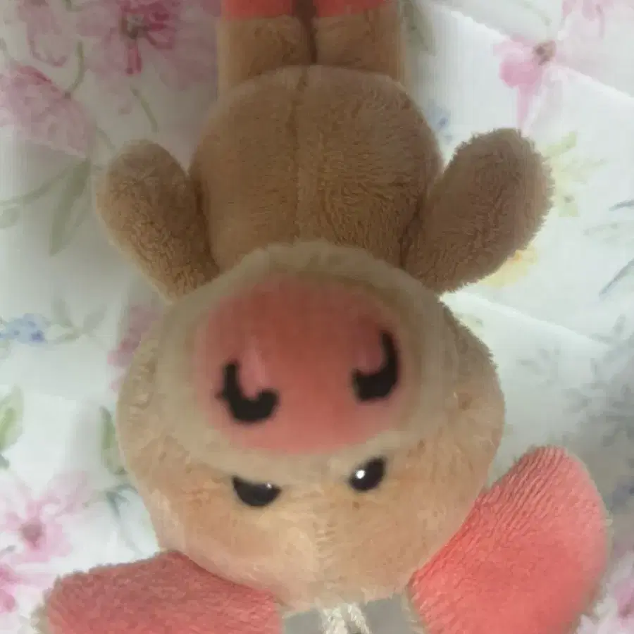 nici 돼지키링