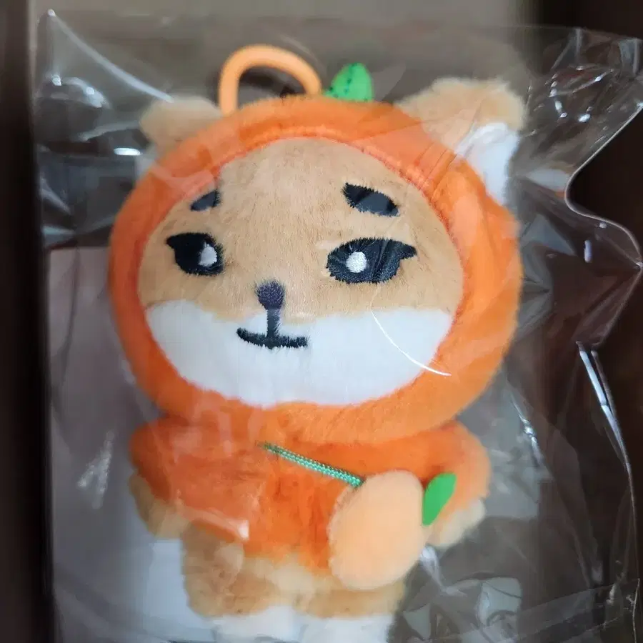 데니멀즈 데멀케 오렌지 케 (영케이)