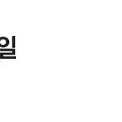 아이폰 듀오 자급제 스타 화이트 256GB
