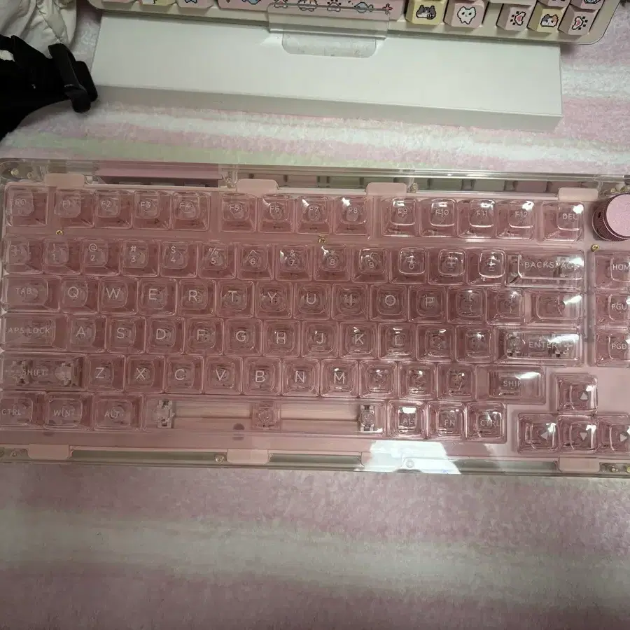 키붐 팬텀 81 kiiboom phantom v2 81 핑크