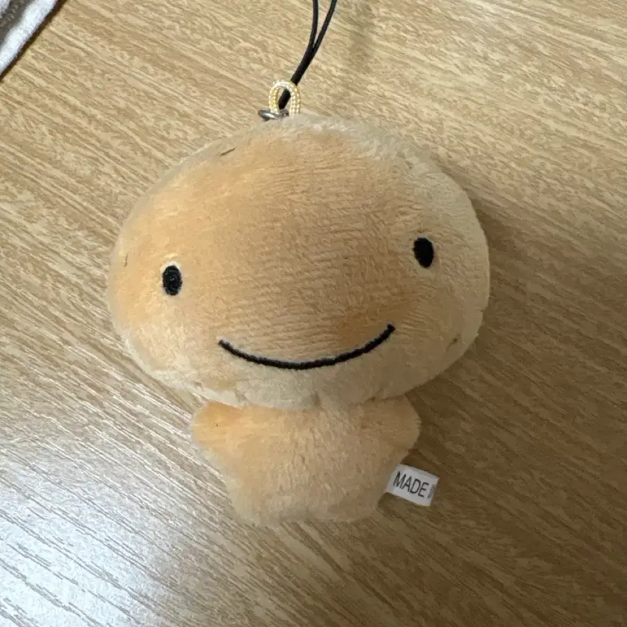 보이넥스트도어 비공굿 운감자