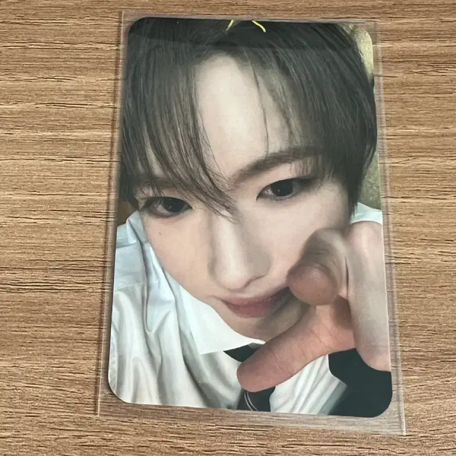 엔시티위시 요이동 사쿠야 포카 양도