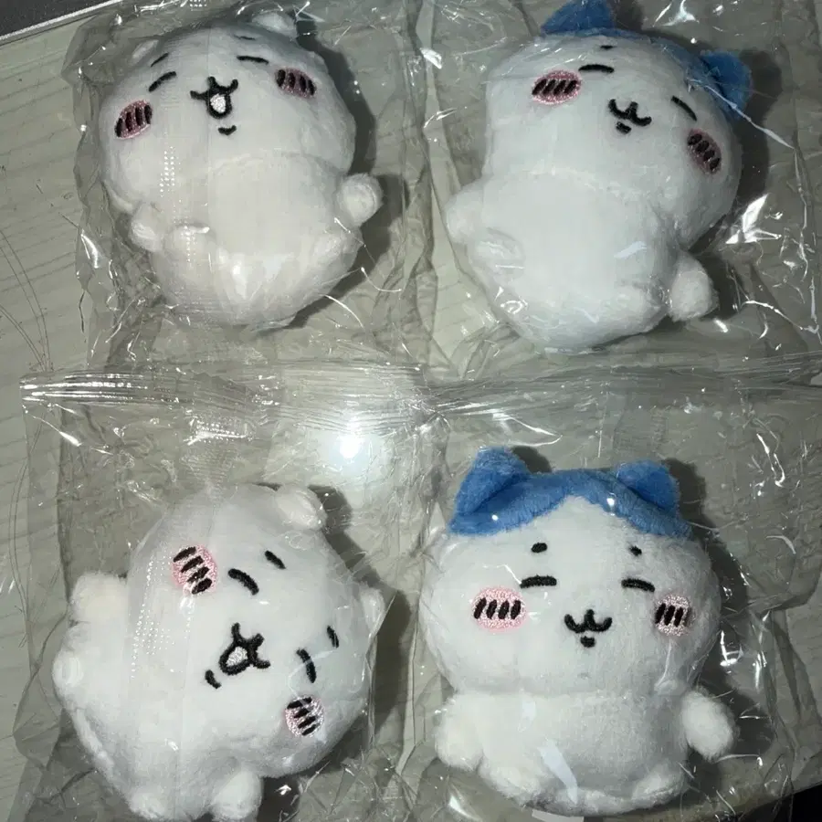 치이카와 하치와레 앉은 누이 가챠