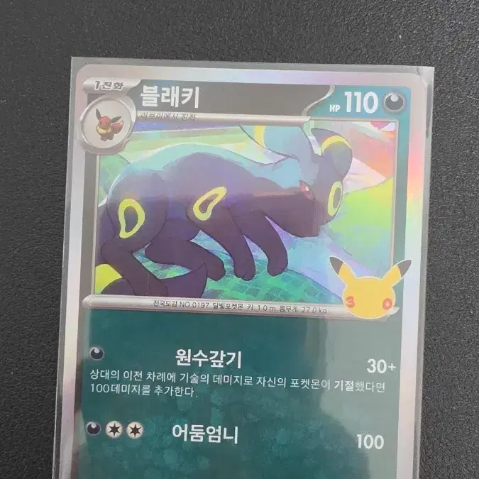 포켓몬 카드 30주년 블래키
