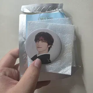 세븐틴 캐럿랜드 디노 캔뱃지 양도