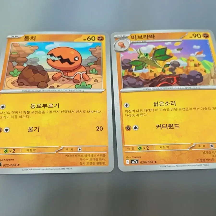 포켓몬 카드 톱치/비브라바 2장 일괄 덱소스 도감용 도감작