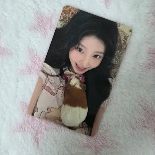 아일릿 잇츠미 유니버셜 원희 양도