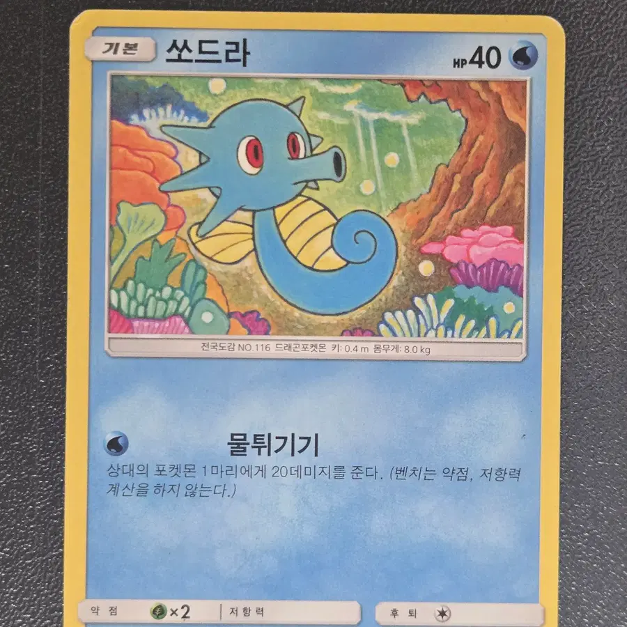 포켓몬카드 쏘드라 SM6a 011/053 C 앨범용_1