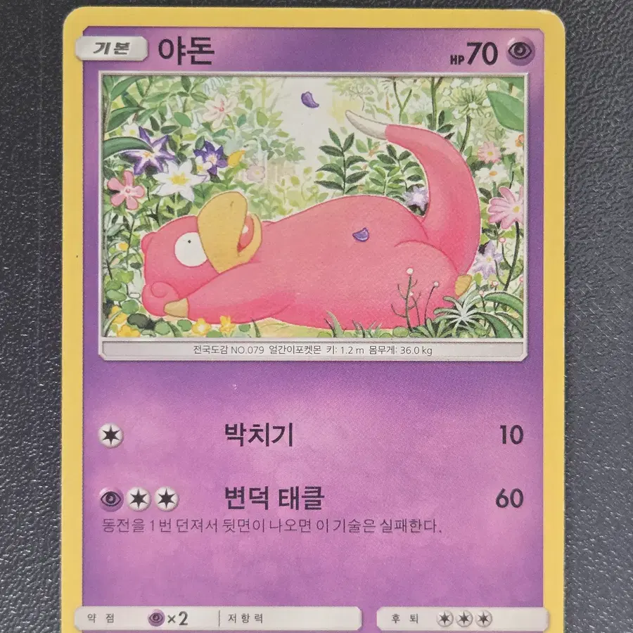 포켓몬카드 야돈 sm2+ 022/049 앨범용_1