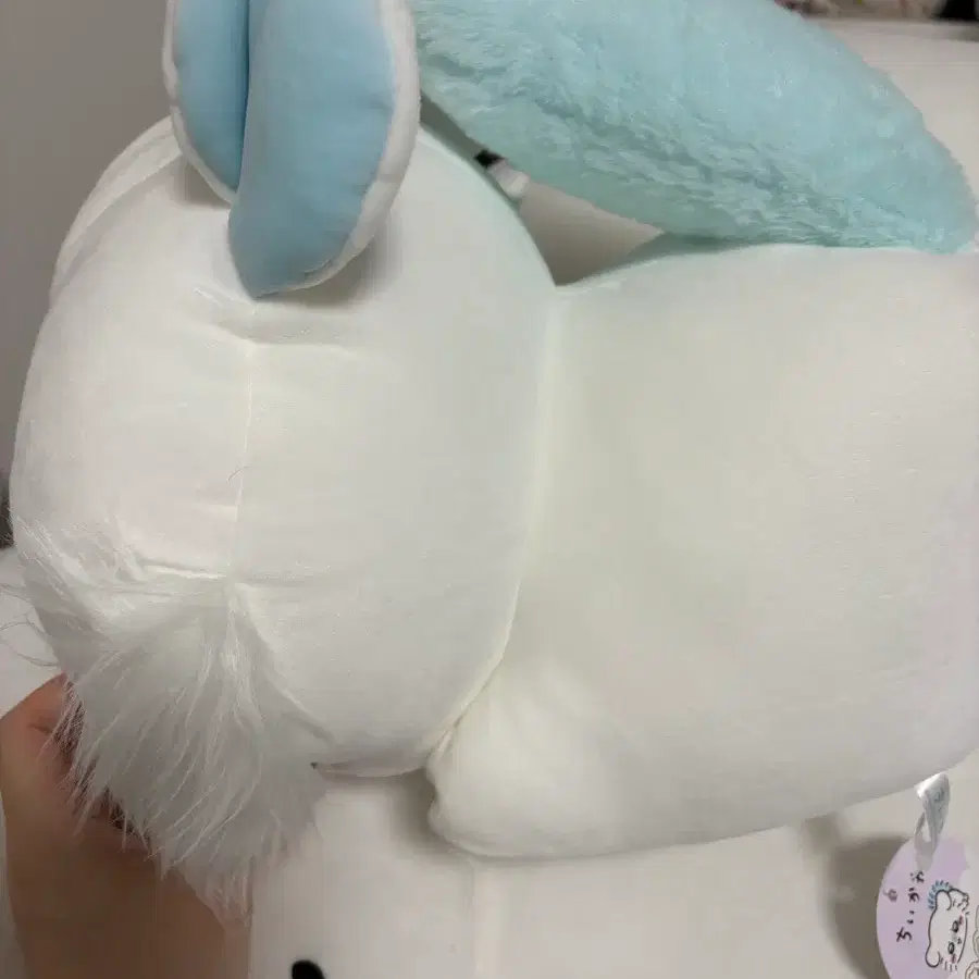 먼작귀 치이카와 모몽가 big 누이