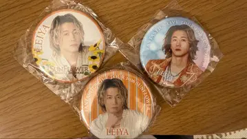 FANTASTICS SUNFLOWER 세구치 레이야 캔뱃지 세트