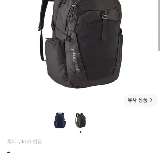 파타고니아 팍사트 백팩 블랙 32L
