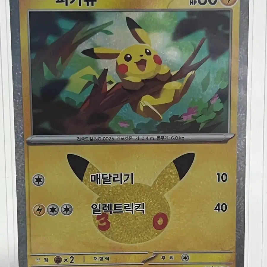 포켓몬카드 30주년 한글판 피카츄 19/30