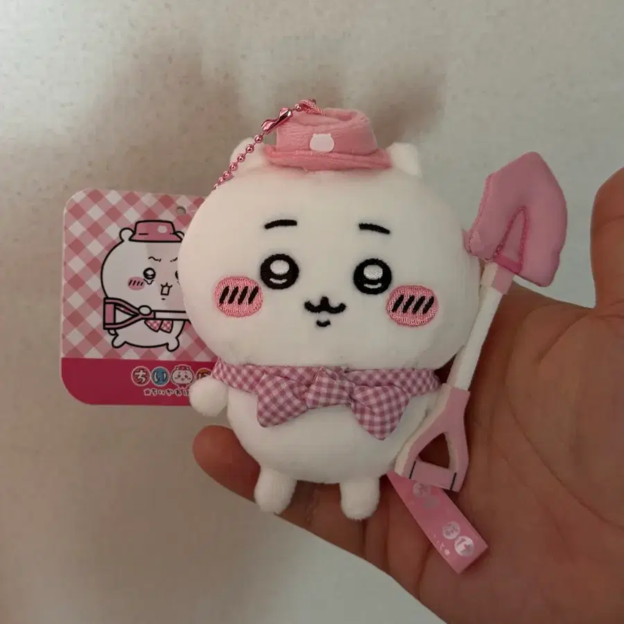 치이카와 피크닉 마스코트