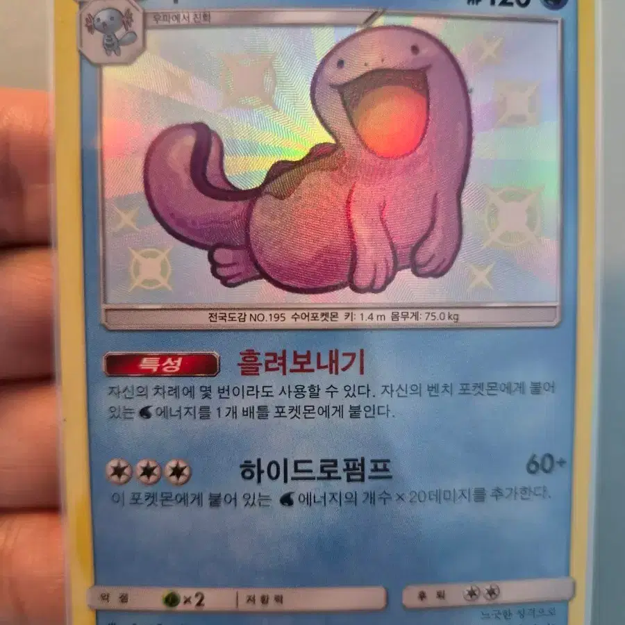 포켓몬카드 누오 이로치