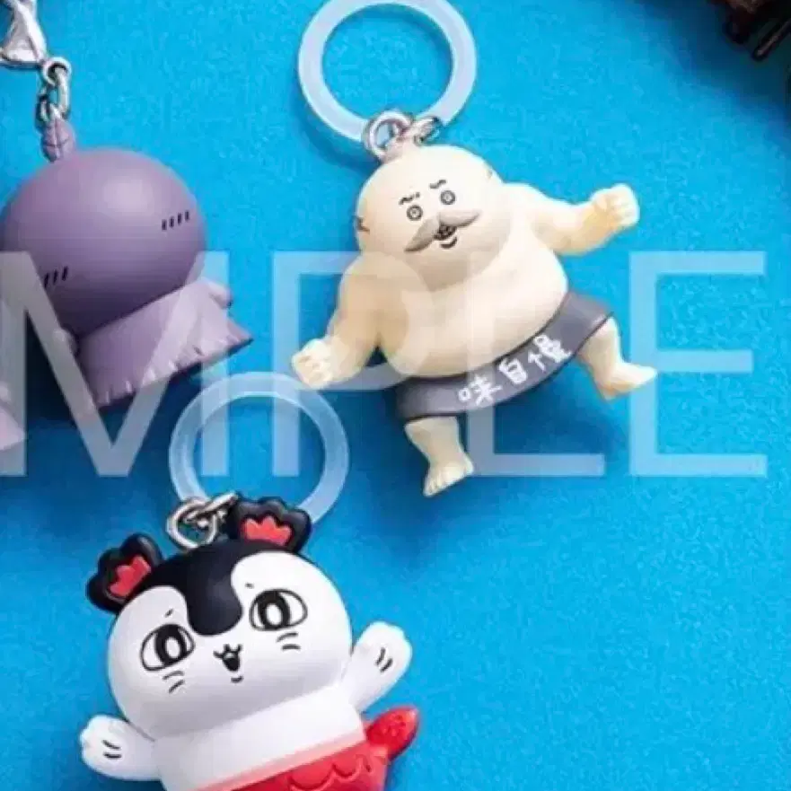 일괄 치이카와 인어섬 메지루시 세이렌 시마지로