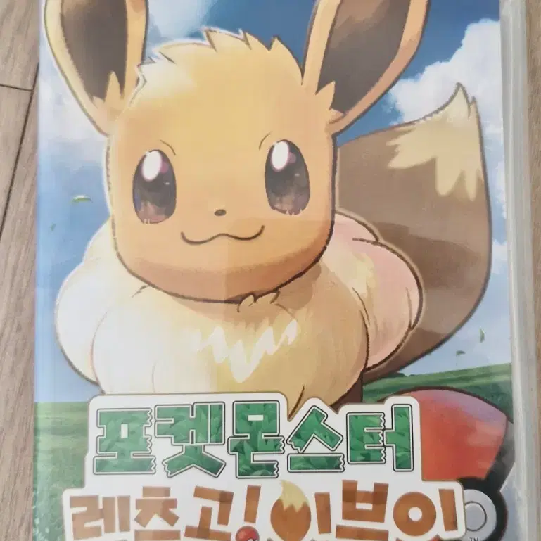 닌텐도 스위치 포켓몬스터 레츠고! 이브이