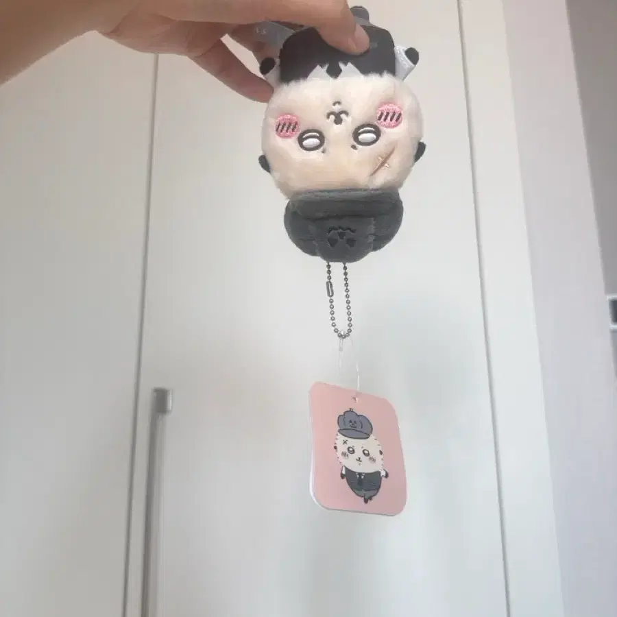 할로윈 랏코
